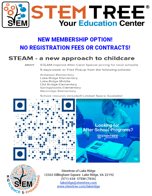 Stemtree After School Program Dillingham Square